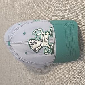 Notre Dame Fighting Irish Flexfit L/XL